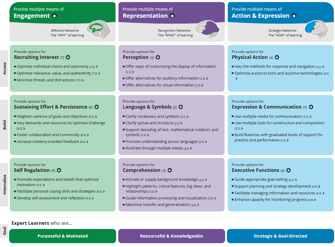 3x3 matrix of principles and guidelines with checkpoints.